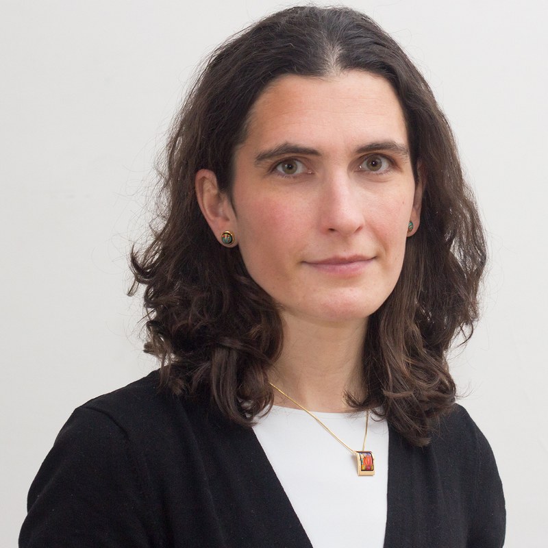 Laura Kovács, Organiser